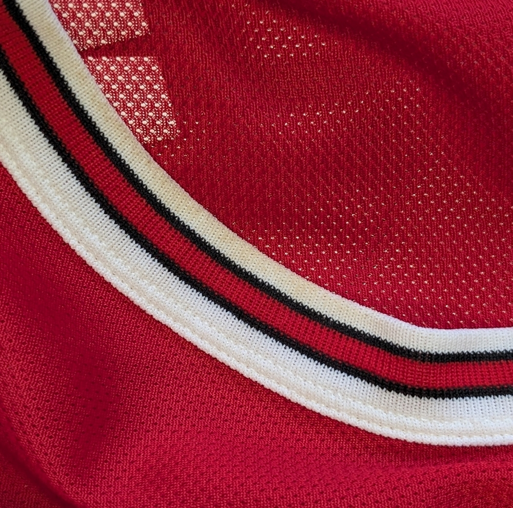 Vintage 90s Champion Dennis Rodman Chicago Bulls Jersey Mens 40 Basketball NBA - Picture 6 of 8